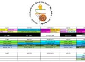Horarios oficiales de entrenamientos para escolares y federados